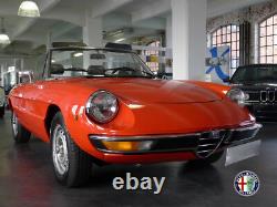 New front grille to suit all Alfa Romeo SPIDER 1969-1983